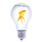 Anyone who can solve the problems of water will be worthy of two Nobel prizes – one for peace and one for science. – John F. Kennedy