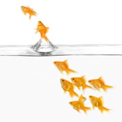 Water is life’s matter and matrix, mother and medium. There is no life without water. – Albert Szent-Györgyi